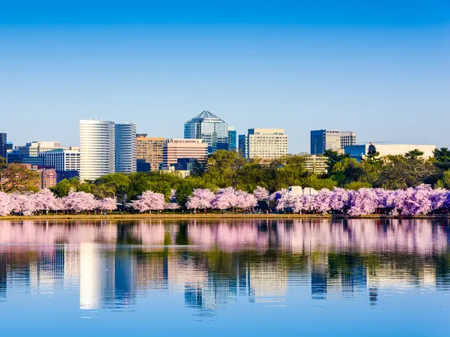 Blossoms in Bloom Package