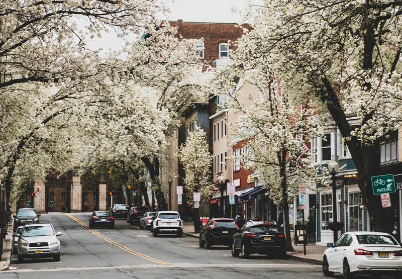 Homelike Experiences